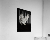birdOFprey copy Acrylic Print