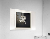 half of freedom Acrylic Print