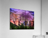 The Sovereign Maple Acrylic Print