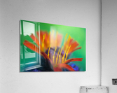 Toms Flower Acrylic Print