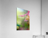 Hyde Flower Acrylic Print