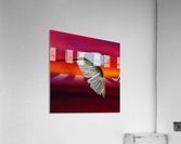 Egret in sunset  Acrylic Print