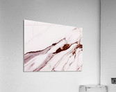 2554217 Acrylic Print