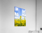 landscape nature Acrylic Print
