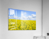 landscape nature2 Acrylic Print