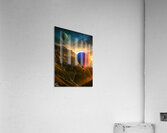 A Peaceful View Acrylic Print