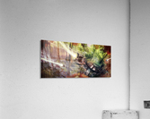 Forest Probes Acrylic Print