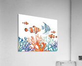Angel Fish and Clown Fish In Coral Reef Watercolor   Acrylic Print
