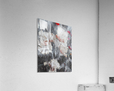 Bearded Iris  Impressionism Acrylic Print