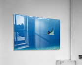 Defying gravity  Acrylic Print