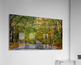 Fall Colors over a Country Road Acrylic Print