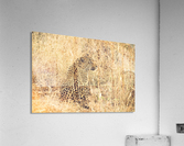 Leopard Acrylic Print