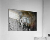 Lions Mane - B-W Acrylic Print