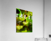 Samus Aran Super Metroid Acrylic Print
