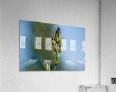 Wild Flowers 3 Acrylic Print
