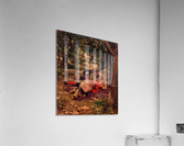 Bajo los Naranjos Acrylic Print