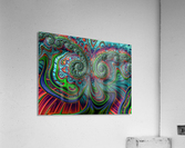 Looney Acrylic Print