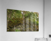 Hold on Tight Acrylic Print