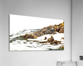 Watch Your Step Acrylic Print