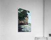 1988 023 Acrylic Print