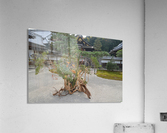 Sennyu-ji KyotoDSC_0578 Acrylic Print