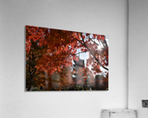 Toji Kyoto DSC_1449 Acrylic Print