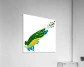 muskyVsSchoolwlavasquare1500x 01 Acrylic Print