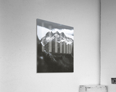 Three  Acrylic Print