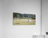 IMG_20200912_104527 Acrylic Print