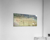 IMG_20200904_153717 Acrylic Print