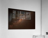 AdriaanPrinsloo 9928 Acrylic Print