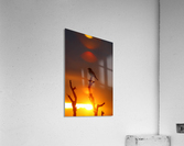 AdriaanPrinsloo 4028 Acrylic Print