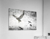 AdriaanPrinsloo 7140 Acrylic Print