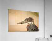 AdriaanPrinsloo 6648 Acrylic Print