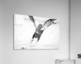 AdriaanPrinsloo 7176 Acrylic Print