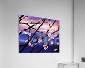 Cherry Blossoms  Impression acrylique