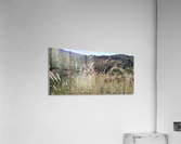 IMG_20201007_173931 Acrylic Print