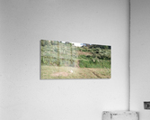 IMG_20200918_162354 Acrylic Print