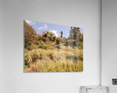 IMG_20201008_113828 Acrylic Print