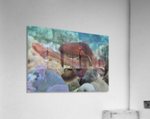 Octopus garden  Acrylic Print