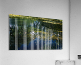 Monet style 3  Acrylic Print