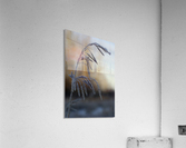 Frost  Acrylic Print
