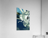 Ice Dragonfly Acrylic Print