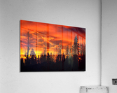 Sunrise Acrylic Print