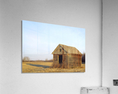 Grain Shed  Acrylic Print