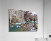 IMG_1577 Acrylic Print