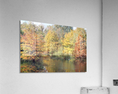 IMG_4130 Acrylic Print