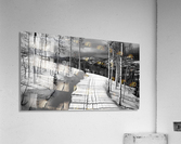 Cat Tracks- Black and White  Acrylic Print
