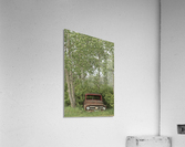 Gonna Buy Me a Mercury Acrylic Print