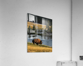 Buffalo River Acrylic Print